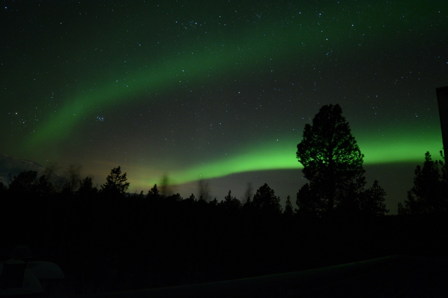 Aurora