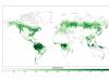 Distribution du couvert arboré en 2000