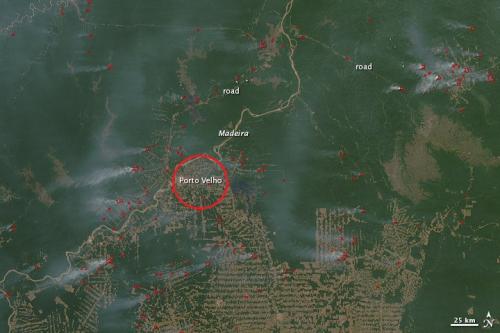 Rondônia, l'État brésilien où la déforestation a été la plus intense des dernières décennies