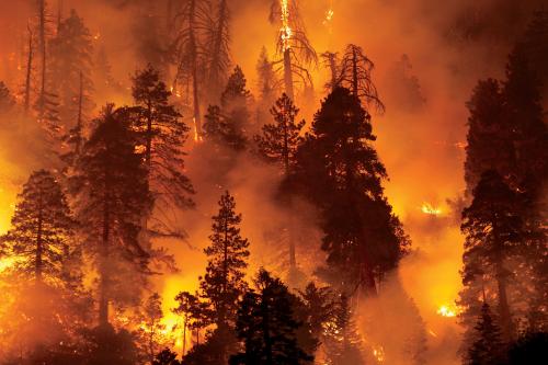 Incendies de forêt