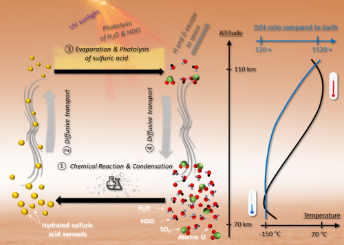 Illustration de l'augmentation de H2O et HDO dans la mésosphère supérieure de Vénus