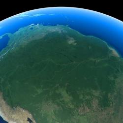 Forêt amazonienne