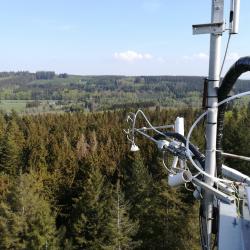 Toren in het gemengd bos in VielsalmTower met sonische anemometer