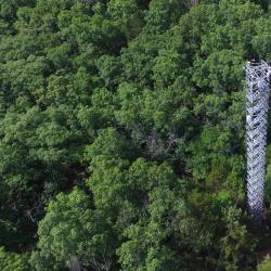 MOFLUX site avec tour de 32 m surplombant une forêt dans l'État du Missouri